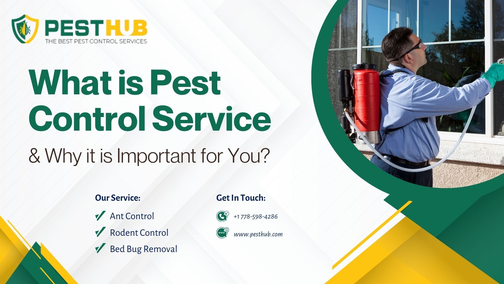 What-are-Pest-Control-Services